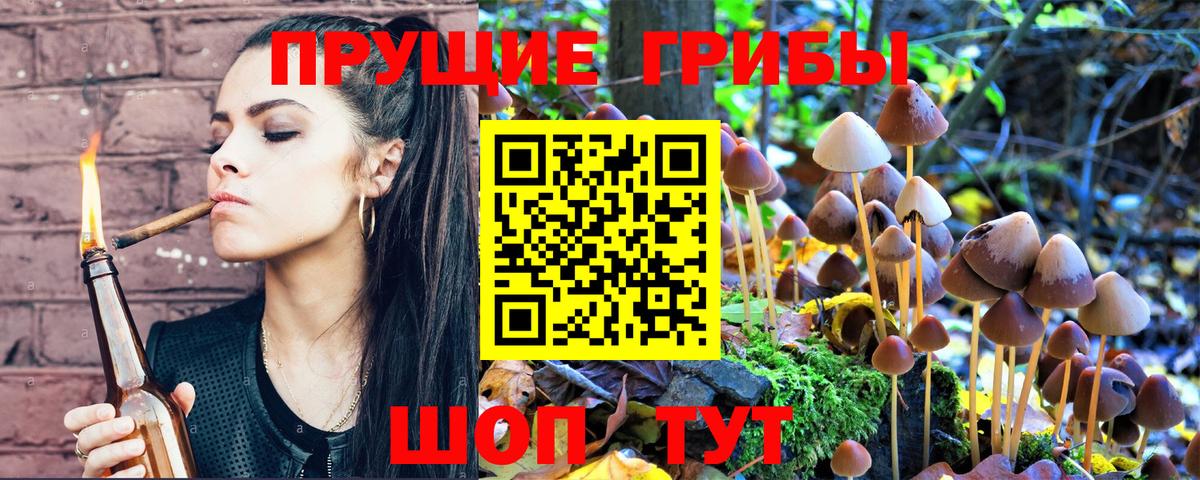 Псилоцибиновые грибы GOLDEN TEACHER  Вход с VPN  Вольск 